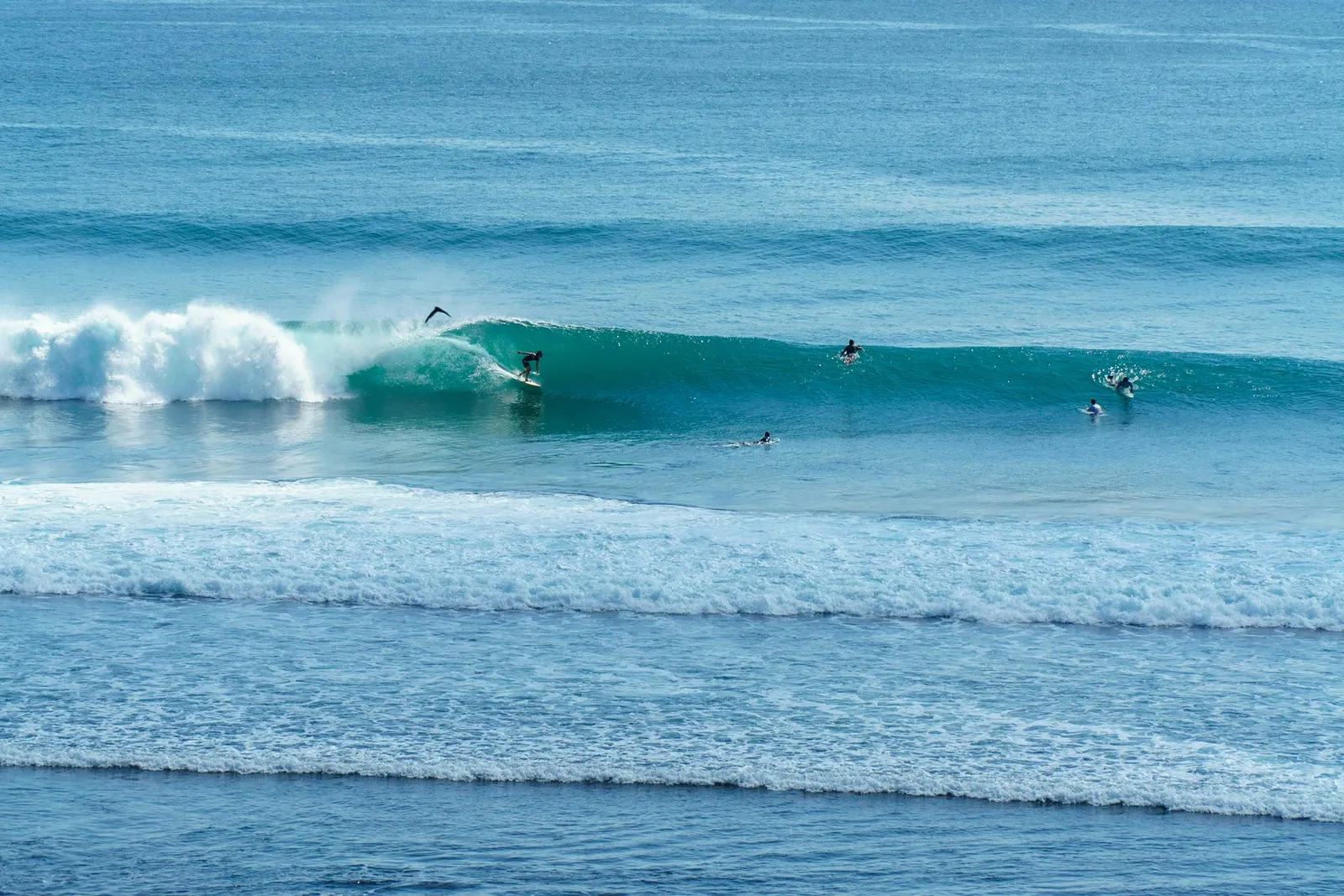 Surf scene from Indonesia.