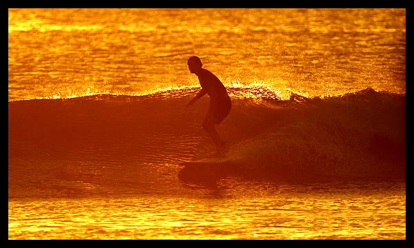 Dale Dagger Surf Lodge photo 3