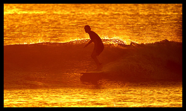 Dale Dagger Surf Lodge photo 2