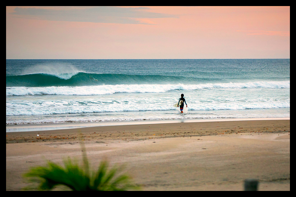 Dale Dagger Surf Lodge photo 3