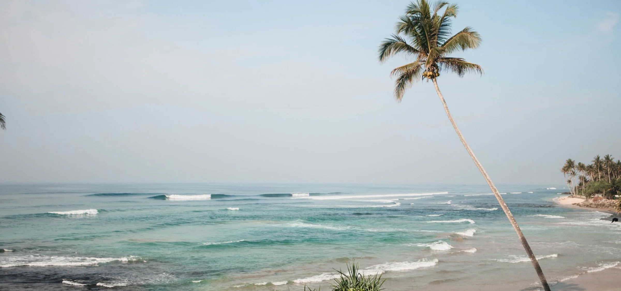 Dreamsea Surf Camp Sri Lanka