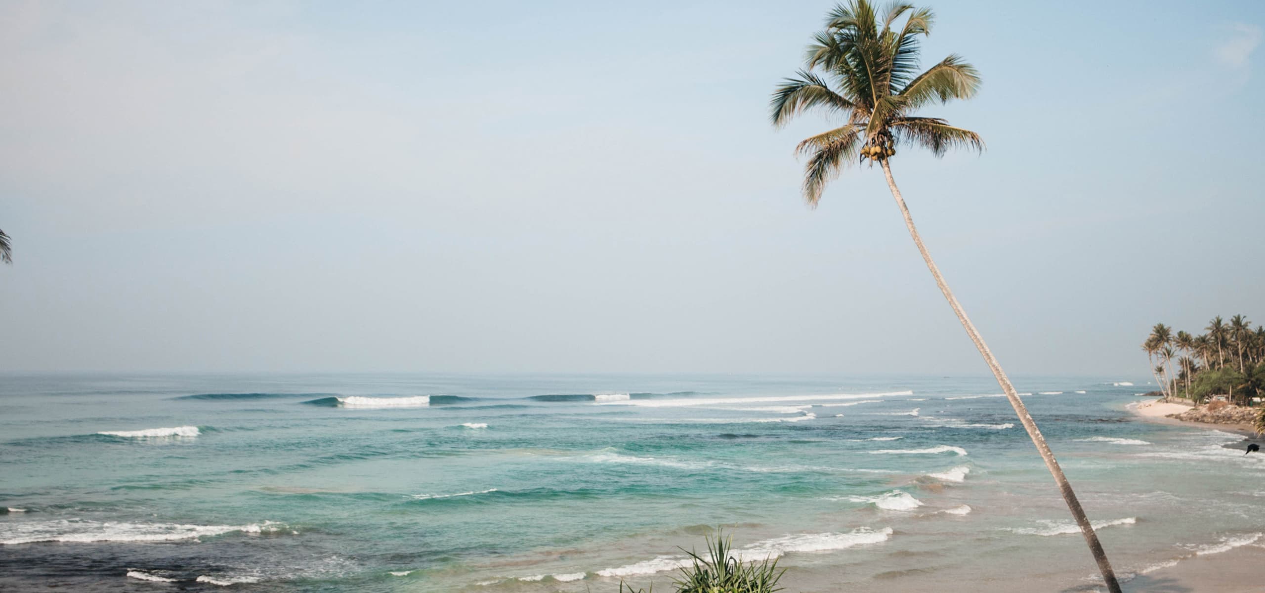 Dreamsea Surf Camp Sri Lanka