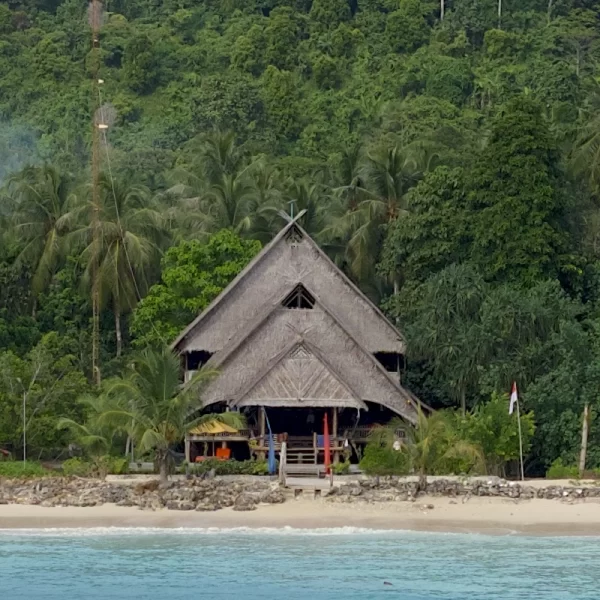 Hidden Bay Resort Mentawais photo 2