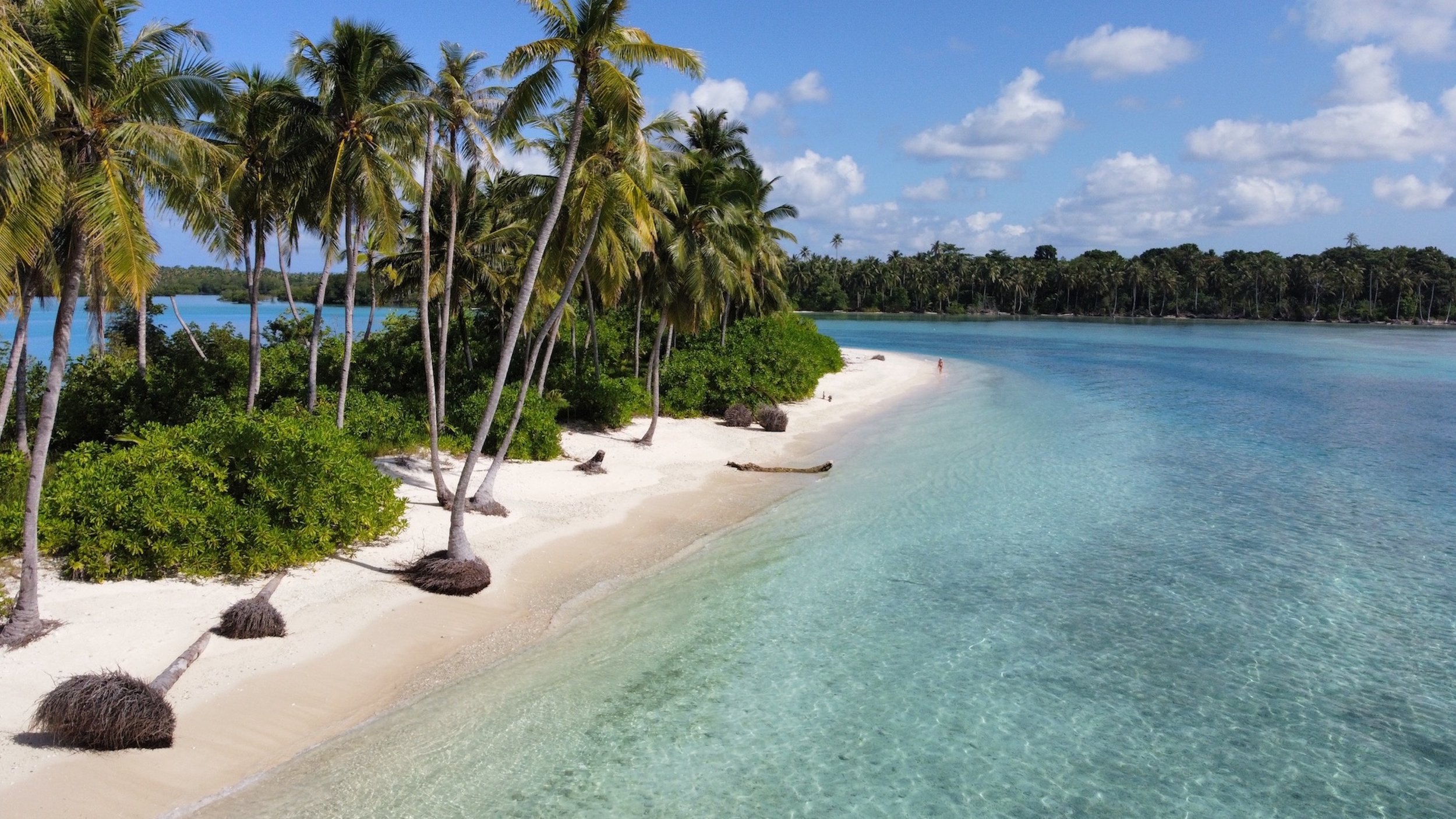 Kingfisher Mentawai Resort photo 6