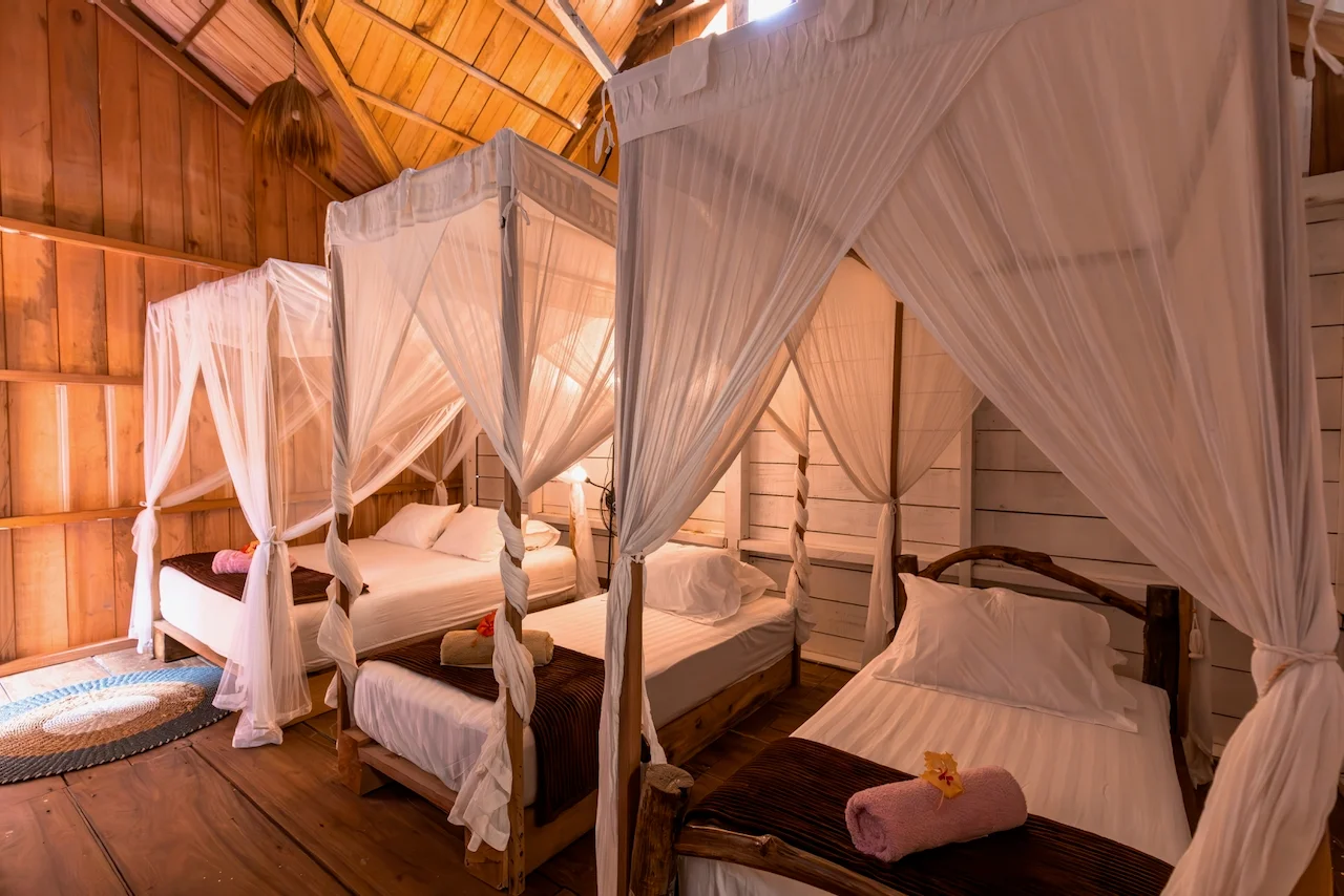 Mentawai Surf Camp photo 4
