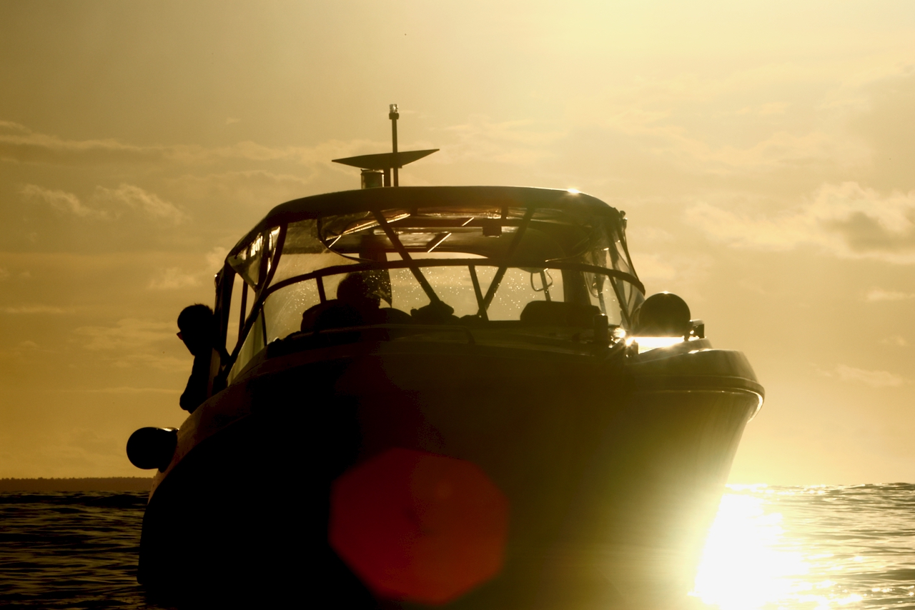 Mentawai Surf Camp photo 6