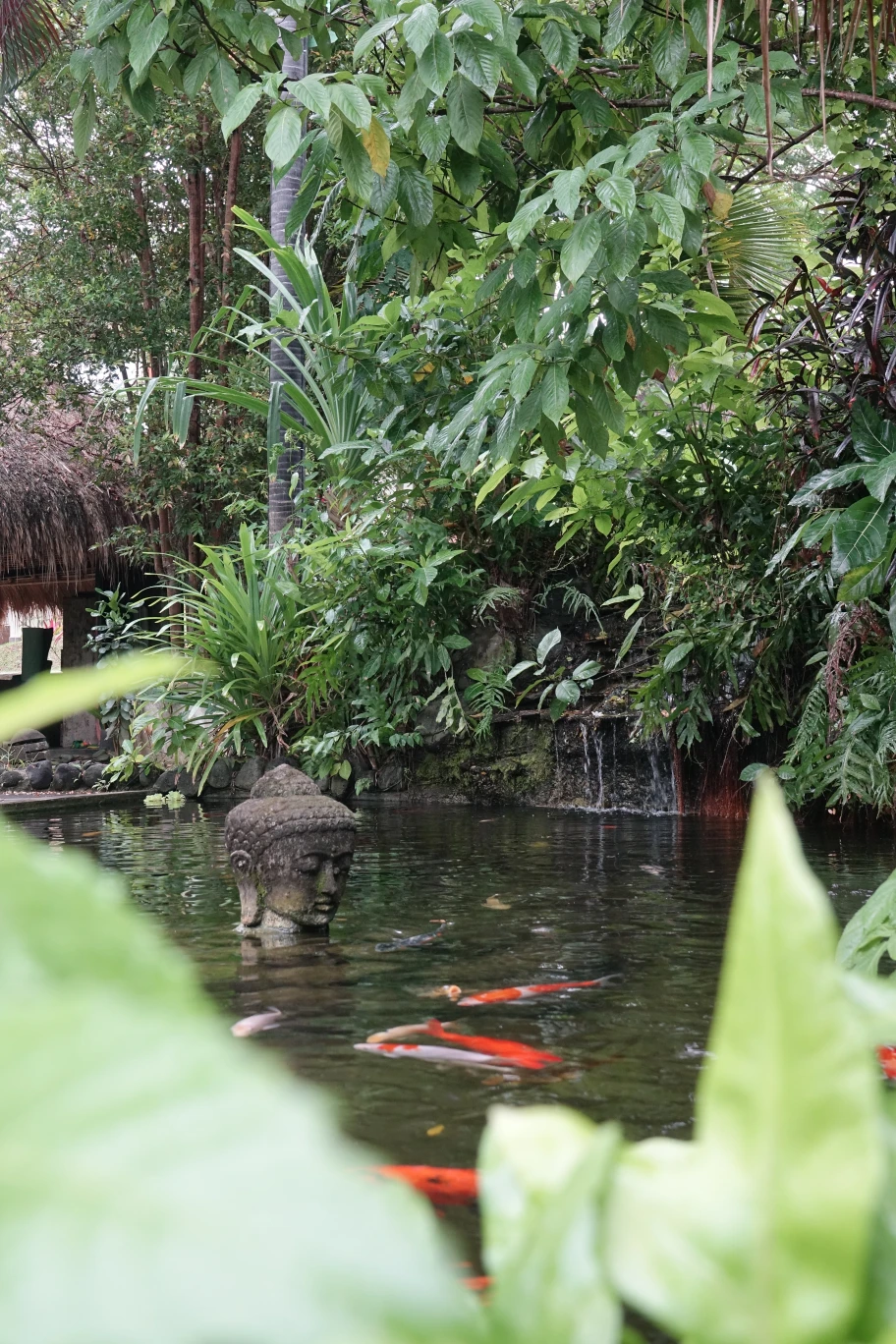Mondo Surf Village  Surf Yoga Retreat Bali  Surf Camp photo 6