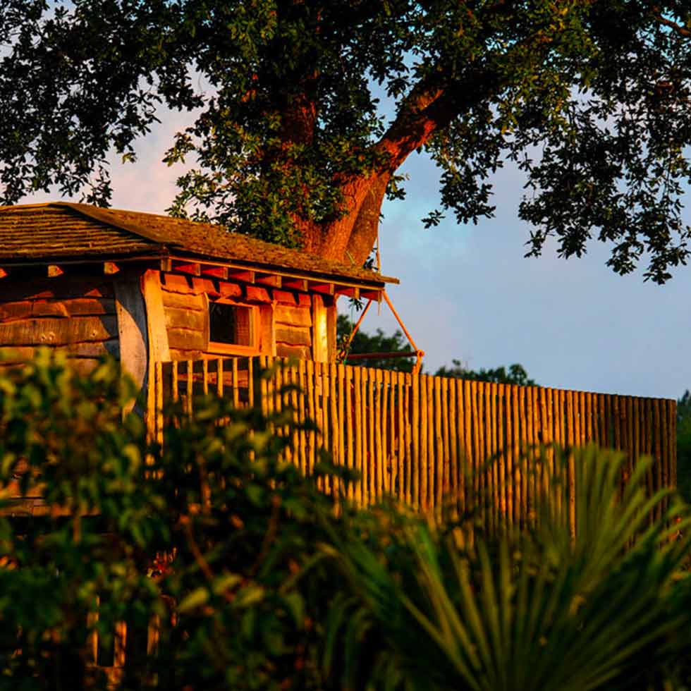 Natural Surf Lodge  Surf Camp photo 2