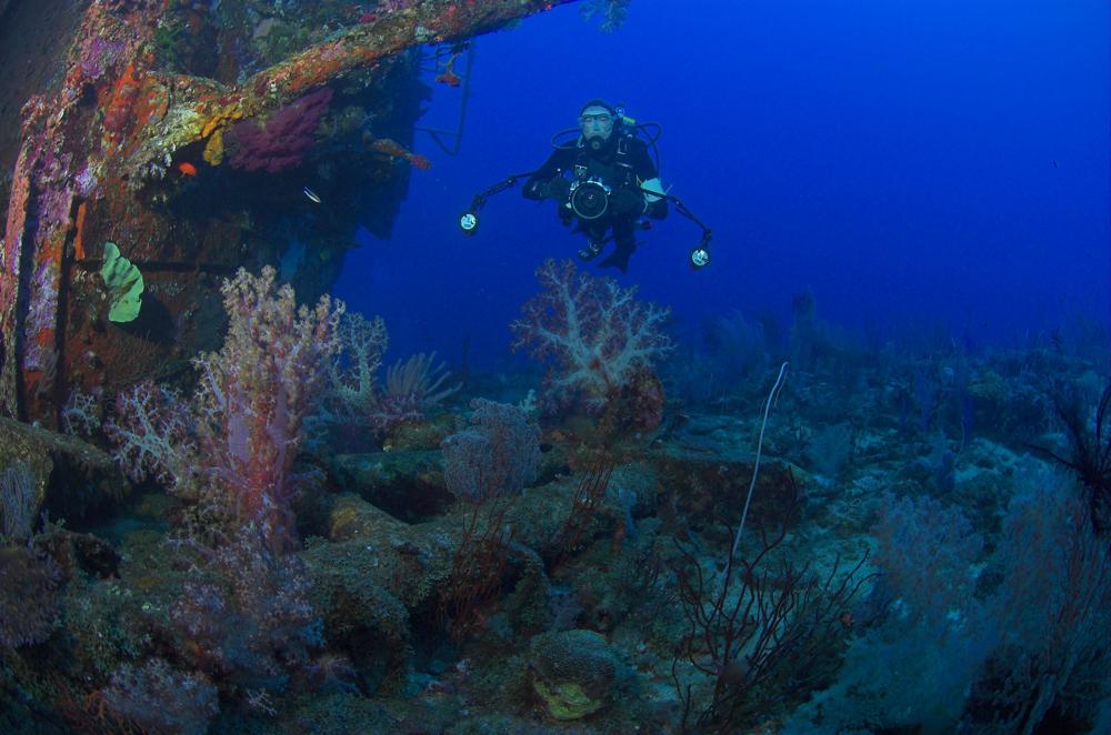 Nusa Island Retreat photo 4