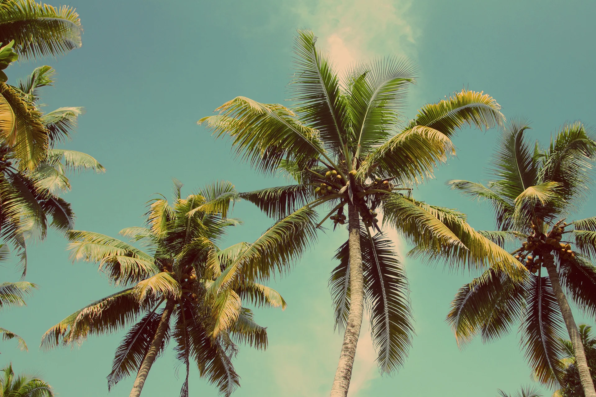 Nusa Island Retreat