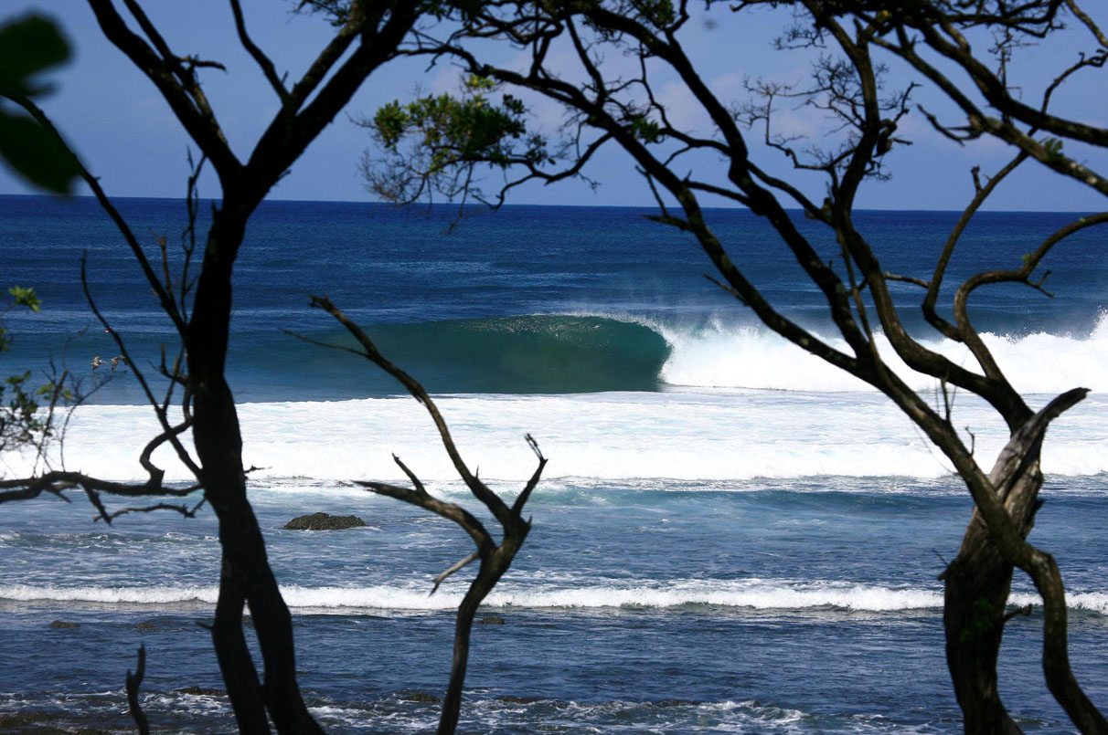 Playa Negra Surf Lodge photo 2