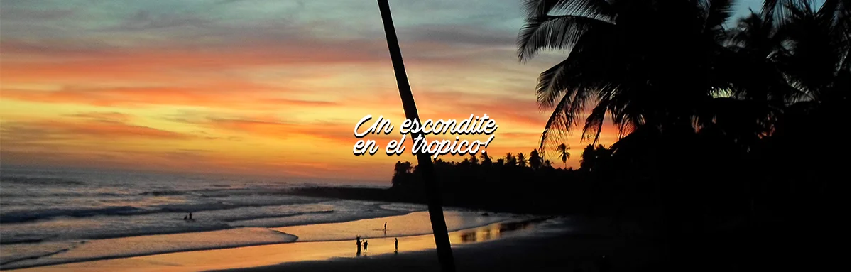 Punta Roca Surf Resort