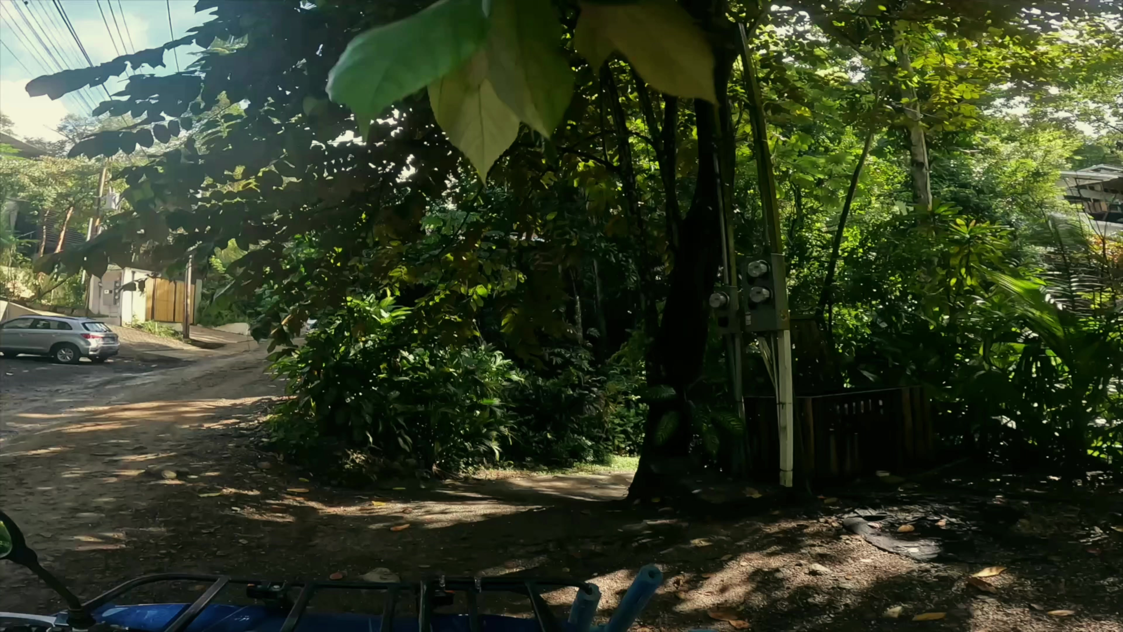 Pura Vida Surf Lodge