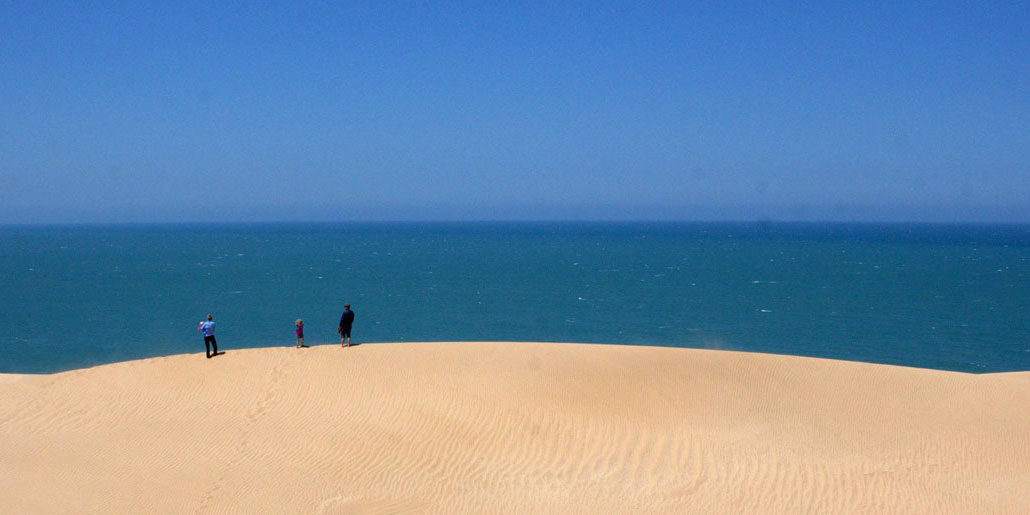 Sahara Surf photo 3