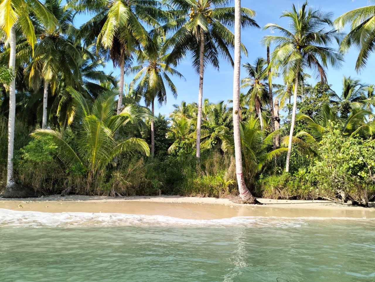 Surf Camp-Siberut photo 2