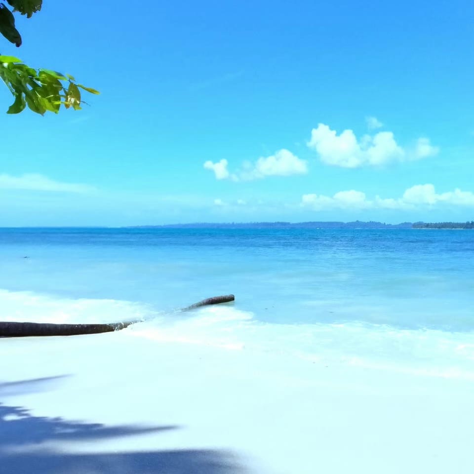 Surf Camp-Siberut photo 4