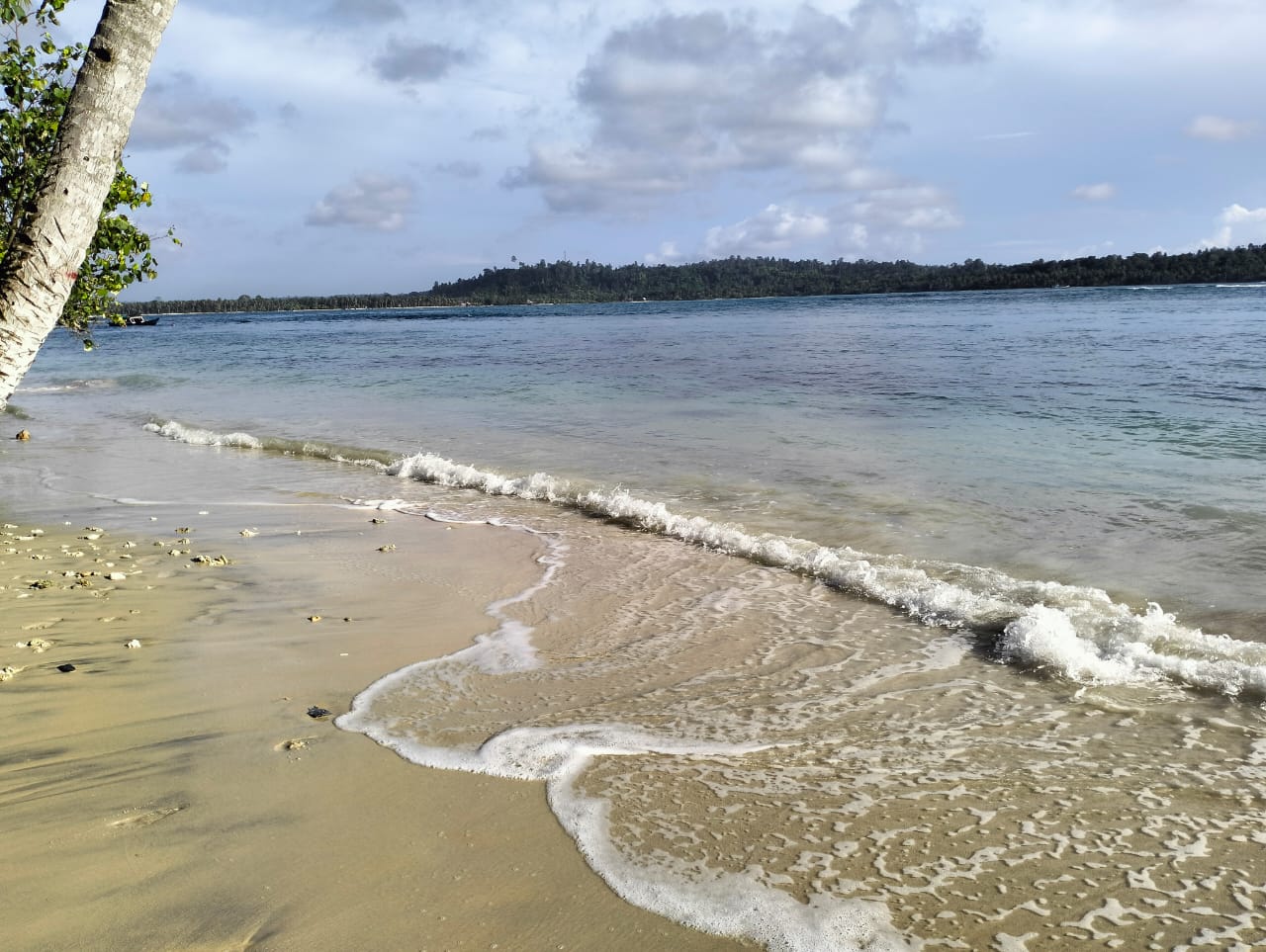 Surf Camp-Siberut photo 5