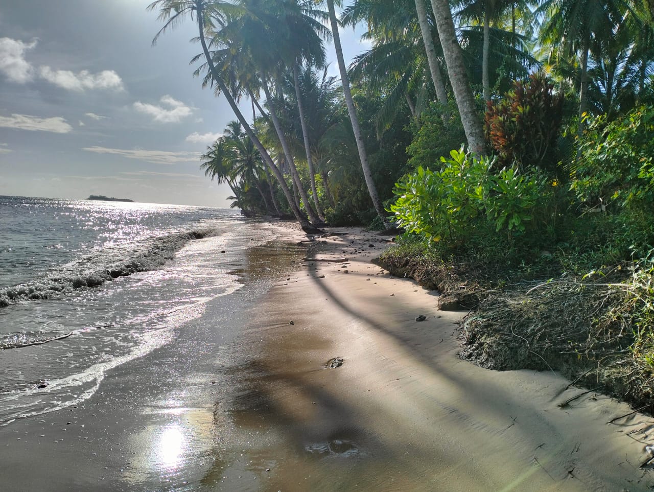 Surf Camp-Siberut photo 7