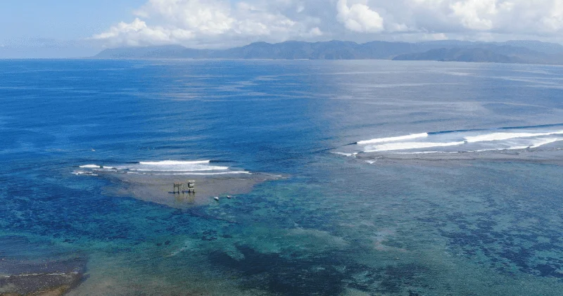The Peak Surf House