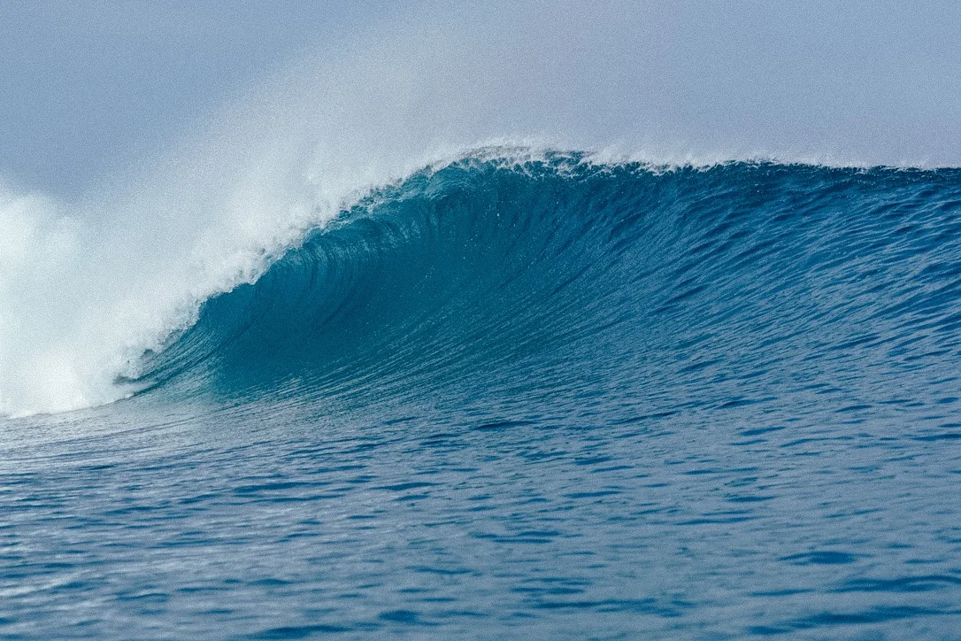 Toska Mentawai Surf Lodge photo 2