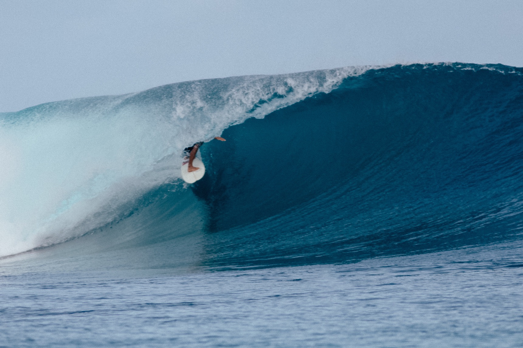 Toska Mentawai Surf Lodge photo 3